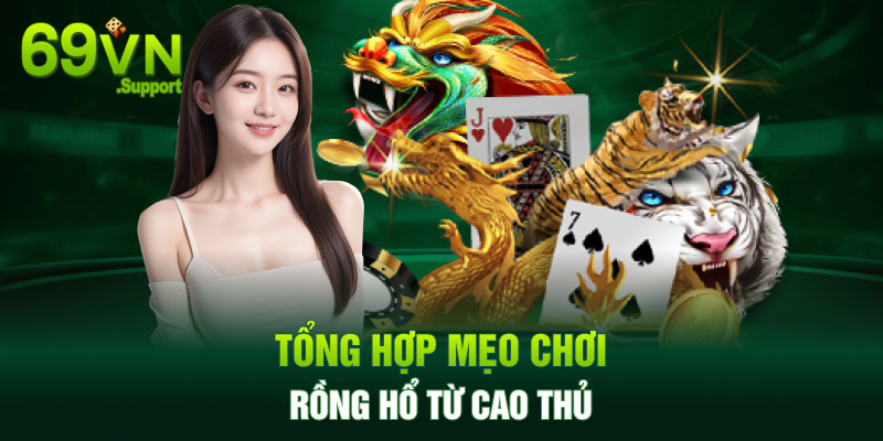 Tổng hợp mẹo chơi rồng hổ từ cao thủ